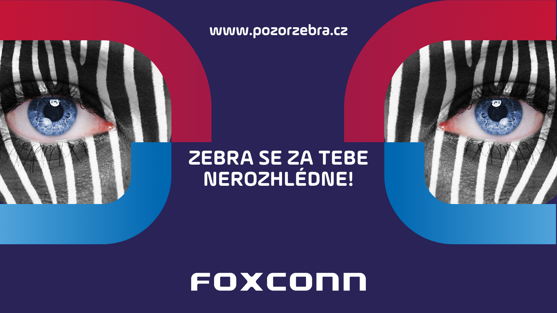 Pozor_Zebra_web